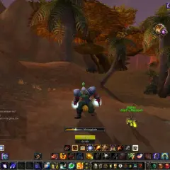 Gracz w grze MMORPG, postać orka z zieloną czupryną, stoi na pustynnym terenie z palmami. Widoczny interfejs gry, czat i paski umiejętności. Wow polski serwer!