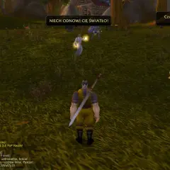 Gracze w grze WoW po polsku, jeden z nich woła: "NIECH ODNOWI CIĘ ŚWIATŁO!".