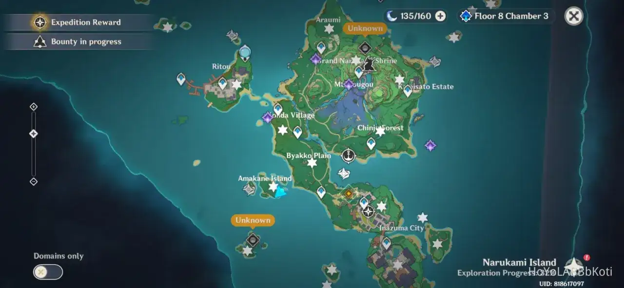 Mapa Inazuma z Genshin Impact, widoczne lokacje: Rito, Araumi, Grand Narukami Shrine, Mt. Yougou, Konda Village, Chinju Forest, Byakko Plain, Amakane Island, Inazuma City, Narukami Island.