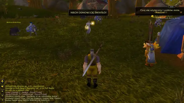 Gracze w grze WoW po polsku, jeden z nich woła: "NIECH ODNOWI CIĘ ŚWIATŁO!".